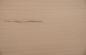 Preview: Beech, - veneer (0,6mm) - 1,78m² (18pcs. x 90cm x 11cm)