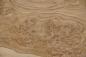 Preview: Eiche, Maser (Roseneiche) -Furnier (0,6mm) - 2,12m² (23Stk. x 40cm x 23cm)
