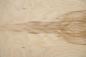 Preview: Olive Ash Burl, - veneer (0,6mm) - 1,84m² (15pcs. x 79cm x 15,5cm)