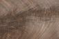 Preview: American Black Walnut (Crotch), - veneer (0,6mm) - 3,23m² (32pcs. x 63cm x 16cm)