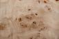 Preview: Pappel Maser (Mapa) -Furnier (0,6mm) - 0,72m² (14Stk. x 43cm x 12cm)