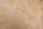 Preview: Quilted Maple (Muschelahorn) -Furnier (0,6mm) - 0,2m² (15Stk. x 17cm x 8cm)