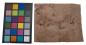 Preview: Rüster (Ulme) Halbmaser -Furnier (0,6mm) - 0,2m² (5Stk. x 22cm x 18cm)