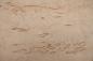 Preview: Birke Maser -Furnier (0,6mm) - 1,17m² (10Stk. x 90cm x 13cm)