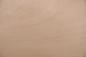Preview: Beech, - veneer (0,6mm) - 1,06m² (16pcs. x 70cm x 9,5cm)