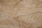 Preview: Olive Ash Burl, - veneer (0,6mm) - 2,05m² (8pcs. x 190cm x 13,5cm)