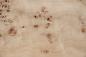 Preview: Pappel Maser (Mapa) -Furnier (0,6mm) - 1,08m² (24Stk. x 30cm x 15cm)