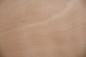 Preview: Buche -Furnier (0,6mm) - 3,27m² (22Stk. x 124cm x 12cm)