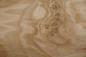 Preview: Esche Maser; oliv -Furnier (0,6mm) - 0,64m² (13Stk. x 47cm x 10,5cm)