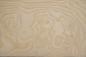 Preview: White Ash Burl, - veneer (0,6mm) - 5,01m² (10pcs. x 179cm x 28cm)
