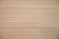 Preview: Chestnut, - veneer (0,6mm) - 2,18m² (18pcs. x 55cm x 22cm)