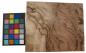 Preview: Californian Walnut Burl, - veneer (1,4mm) - 1,2m² (13pcs. x 33cm x 28cm)