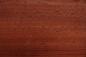 Preview: Padouk, - veneer (0,6mm) - 0,61m² (60pcs. x 12cm x 8,5cm)