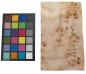 Preview: Pappel Maser (Mapa) -Furnier (0,6mm) - 0,86m² (20Stk. x 16cm x 27cm)