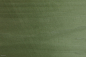 Preview: 0,6mm Tulpenbaum grün gefärbtes Furnier 0,39m² D 7 29 19