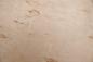 Preview: Birke Maser -Furnier (0,6mm) - 0,08m² (5Stk. x 22cm x 7cm)