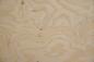 Preview: White Ash Burl, - veneer (0,6mm) - 6,79m² (11pcs. x 213cm x 29cm)