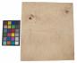 Preview: Esche Maser, weiß -Furnier (0,6mm) - 1,03m² (6Stk. x 39cm x 44cm)