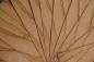 Preview: Olivetree, - veneer (0,6mm) - 0,14m² (22pcs. x 13cm x 5cm)