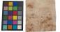 Preview: Pappel Maser (Mapa) -Furnier (0,6mm) - 0,82m² (24Stk. x 18cm x 19cm)