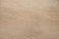 Preview: 0.6mm Platane Furnier 4.49m² D 24 52 36