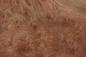 Preview: 0,6mm Rüster (Ulme) Maser Furnier 0,56m² E 24 18 13