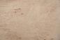 Preview: Birke Maser -Furnier (0,6mm) - 0,69m² (12Stk. x 41cm x 14cm)