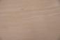Preview: Buche -Furnier (0,6mm) - 1,39m² (22Stk. x 63cm x 10cm