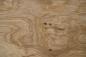 Preview: Olive Ash, - veneer (0,6mm) - 4,08m² (7pcs. x 188cm x 31cm)