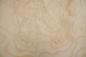 Preview: White Ash Burl, - veneer (0,6mm) - 10.93m² (15pcs. x 235cm x 31cm)