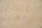 Preview: Esche Maser, weiß -Furnier (0,6mm) - 3,17m² (24Stk. x 55cm x 24cm)