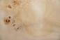 Preview: Pappel Maser (Mapa) -Furnier (0,6mm) - 0,58m² (15Stk. x 16cm x 24cm)