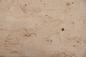 Preview: Birke Maser -Furnier (0,6mm) - 0,39m² (6Stk. x 46cm x 14cm)