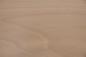 Preview: Buche -Furnier (0,6mm) - 4,35m² (20Stk. x 145cm x 15cm)