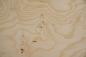 Preview: White Ash Burl, - veneer (0,6mm) - 9,09m² (16pcs. x 203cm x 28cm)