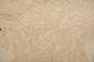 Preview: White Ash Burl, - veneer (0,6mm) - 2,06m² (22pcs. x 52cm x 18cm)