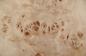 Preview: Pappel Maser (Mapa) -Furnier (0,6mm) - 0,42m² (22Stk. x 10cm x 19cm)