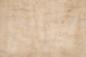 Preview: Quilted Maple, - veneer (0,6mm) - 3,71m² (13pcs. x 62cm x 46cm)
