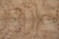 Preview: Elm partial Burl, - veneer (0,6mm) - 4,41m² (21pcs. x 75cm x 28cm)