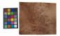 Preview: Rüster (Ulme) Maser -Furnier (0,6mm) - 2,42m² (23Stk. x 35cm x 30cm)