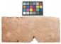 Preview: Maple Burl, veneer with Colour reference card