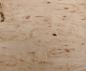Preview: Birke Maser -Furnier (0,6mm) - 0,12m² (19Stk. x 8cm x 8cm)