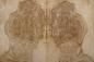 Preview: Oak Burl (Roseoak), - veneer (0,6mm) - 1,2m² (15pcs. x 42cm x 19cm)