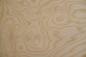Preview: White Ash Burl, - veneer (0,6mm) - 7,93m² (14pcs. x 169cm x 33,5cm)