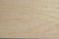 Preview: Figured White Ash, veneer