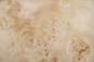 Preview: Mapa Burl, - veneer (0,6mm) - 0,43m² (23pcs. x 9cm x 21cm)