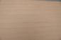 Preview: Beech, - veneer (0,6mm) - 1,06m² (24pcs. x 55cm x 8cm)