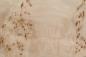Preview: 0,6mm Pappel Maser (Mapa) Furnier 1m² H 24 26 16