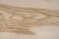 Preview: Olive Ash, - veneer (0,6mm) - 36,94m² (23pcs. x 365cm x 44cm)