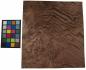 Preview: Californian Walnut Burl, - veneer (1,8mm) - 1,32m² (7pcs. x 45cm x 42cm)